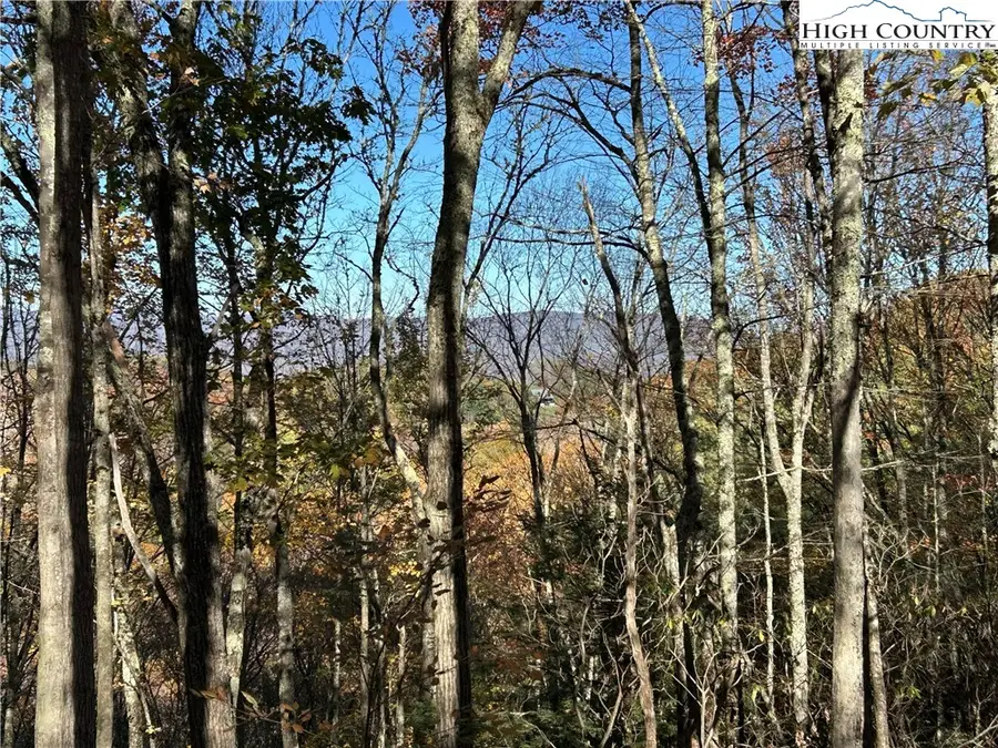 Lot 4B & 5 Chestnut Mountain Road, Banner Elk, NC 28604 - Image #2