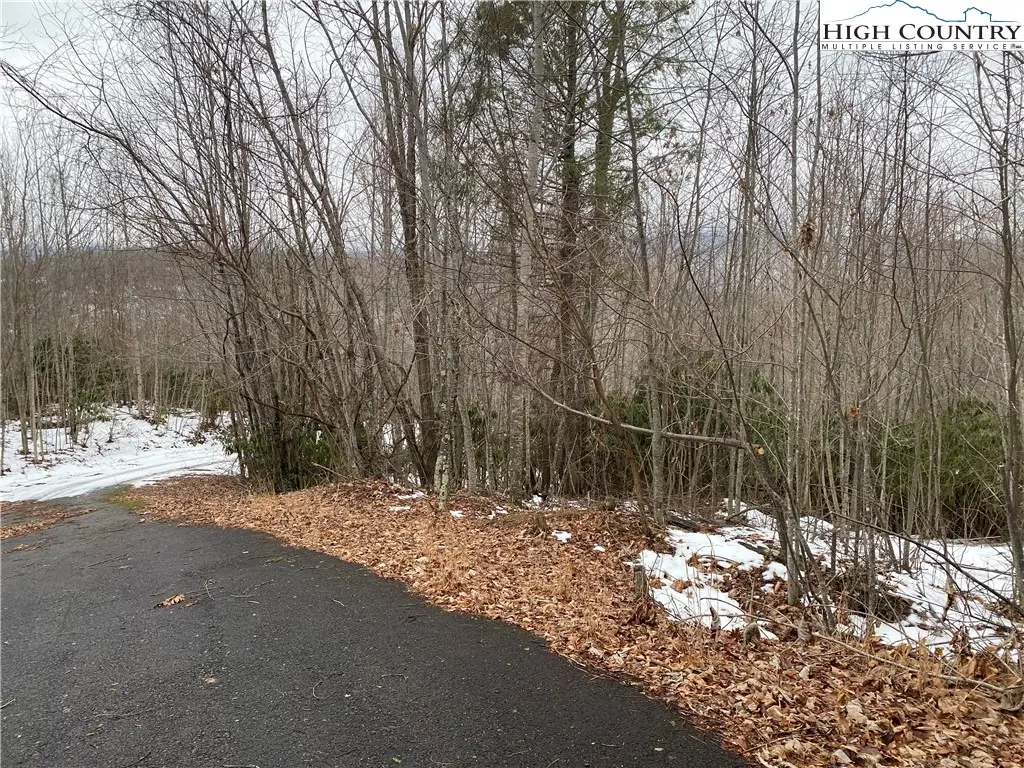 TBD Summit Dr. Drive, Beech Mountain, NC 28604 - Image #1
