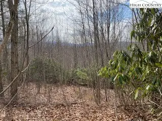 TBD Summit Dr. Drive, Beech Mountain, NC 28604 - Image #3