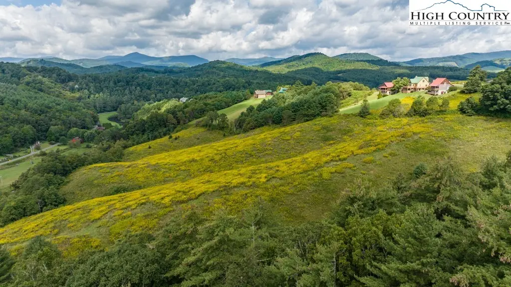 tbd Cranberry Springs Road, Fleetwood, NC 28626 - #1