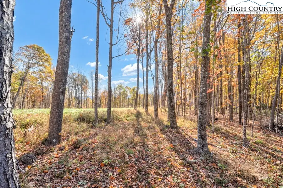 Lot 17 Poplar Forest Drive, Boone, NC 28607 - Image #2