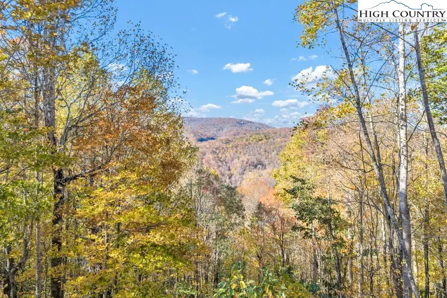 Lot 17 Poplar Forest Drive, Boone, NC 28607 - Image #3
