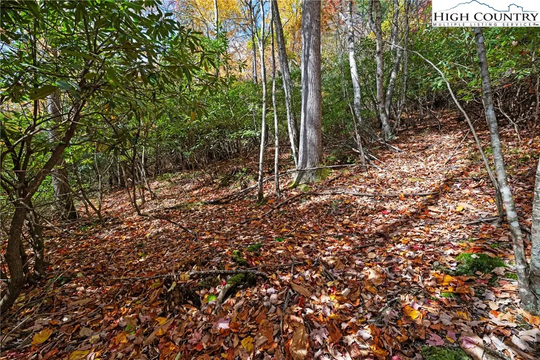 244 Poplar Drive, Beech Mountain, NC 28604 - Image #1