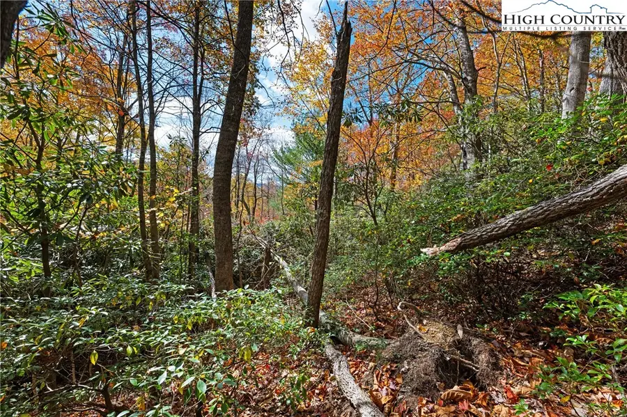 244 Poplar Drive, Beech Mountain, NC 28604 - Image #2