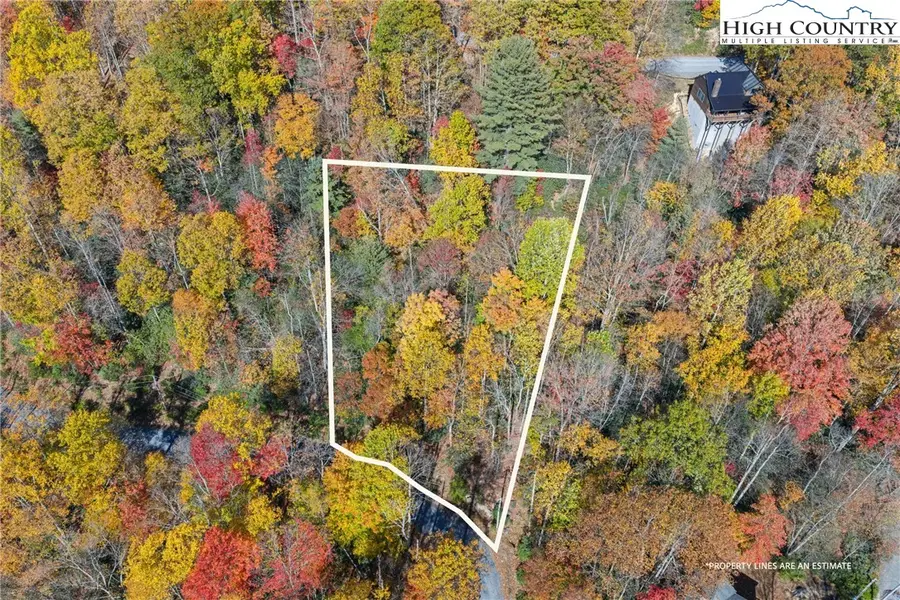 244 Poplar Drive, Beech Mountain, NC 28604 - Image #3