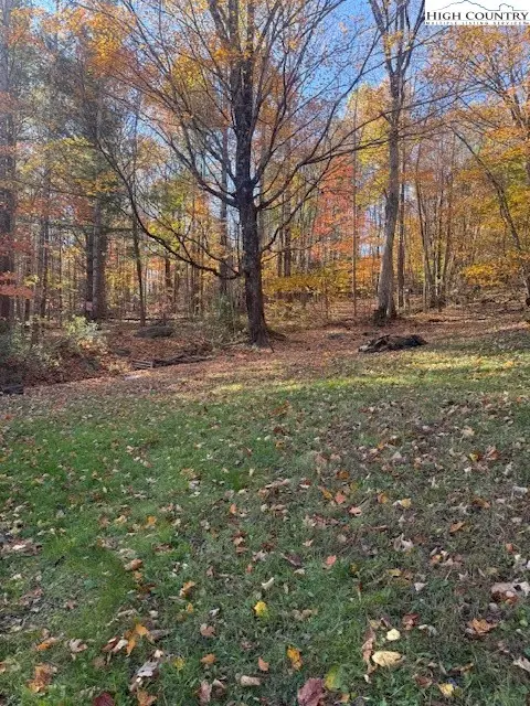 431 & 445 Von Turner Road, West Jefferson, NC 28694 - Image #2