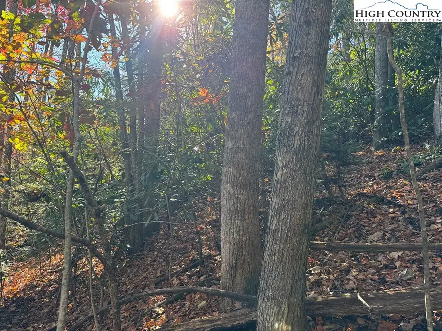 TBD Hews Circle, Blowing Rock, NC 28605 - Image #2