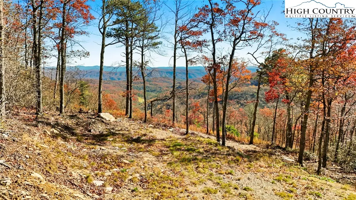Lot 23 Bluebell Trail, Boone, NC 28607 - #1