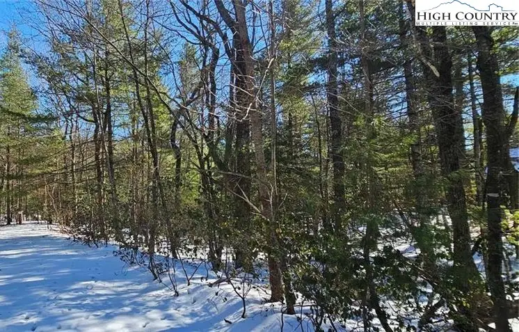 TBD Little Creek Lane, Glade Valley, NC 28627 - Image #1