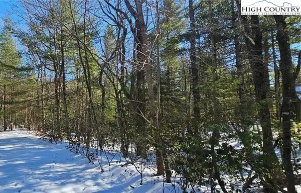 TBD Little Creek Lane, Glade Valley, NC 28627