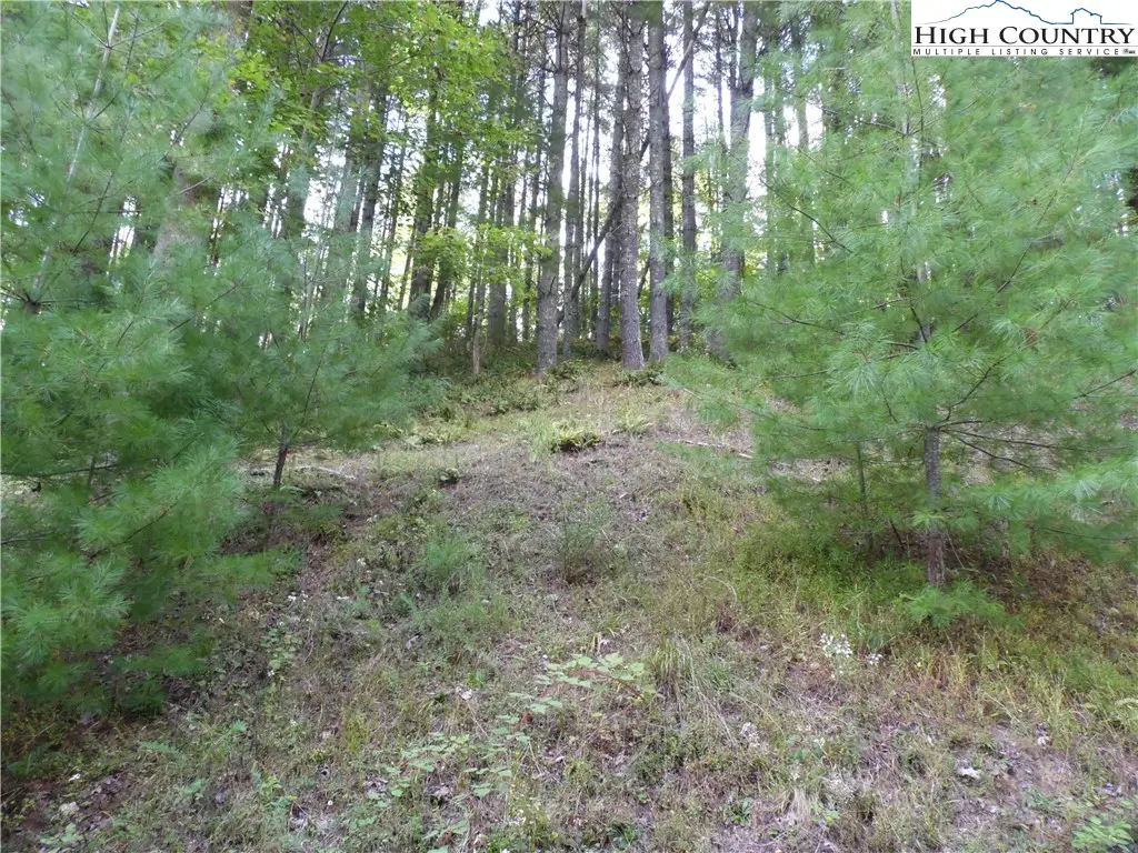 TBD Woodlands Drive, Piney Creek, NC 28663 - Image #1