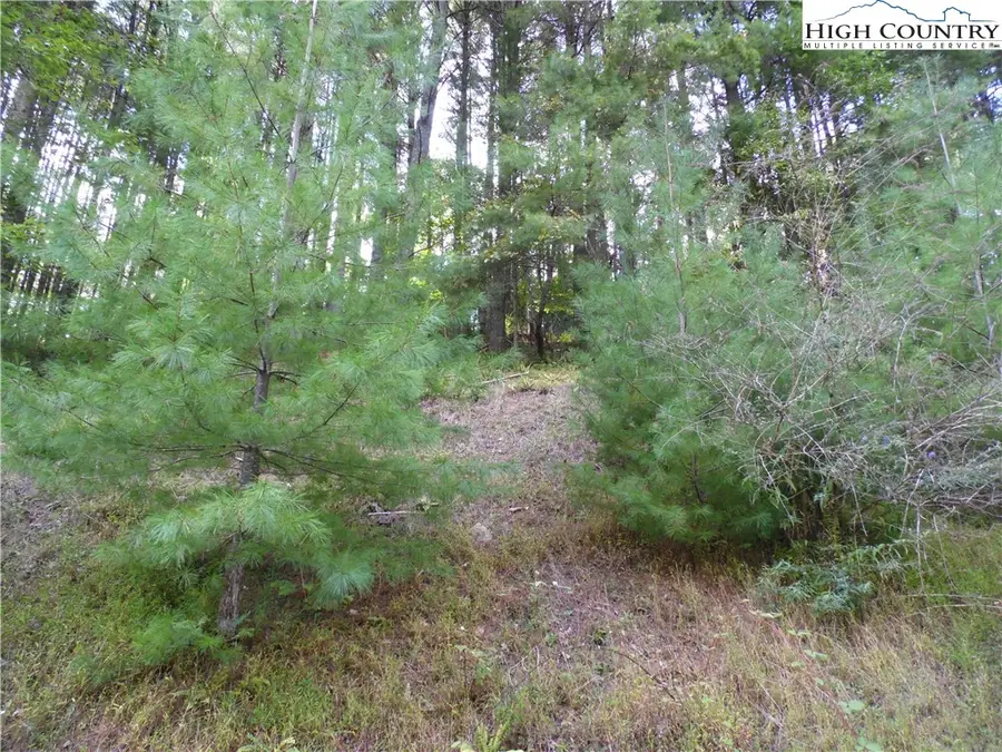 TBD Woodlands Drive, Piney Creek, NC 28663 - Image #2