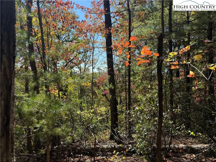 TBD Little Rock Canyon Road, Lenoir, NC 28645 - Image #3