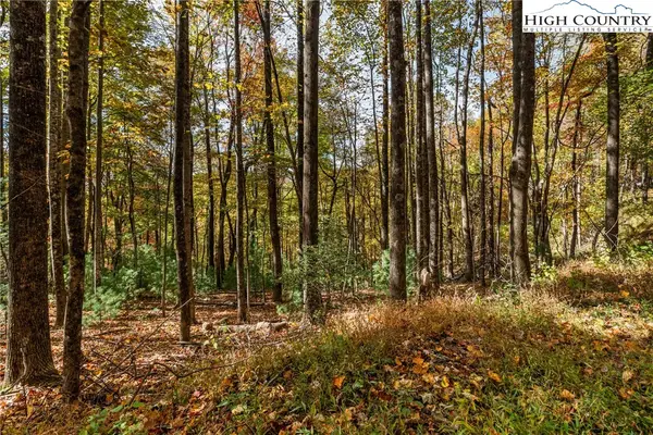 TBD - Lot 24 Ben Miller Road, Deep Gap, NC 28618