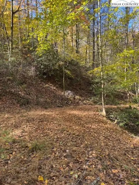 78 Holleridge Road, Ferguson, NC 28624