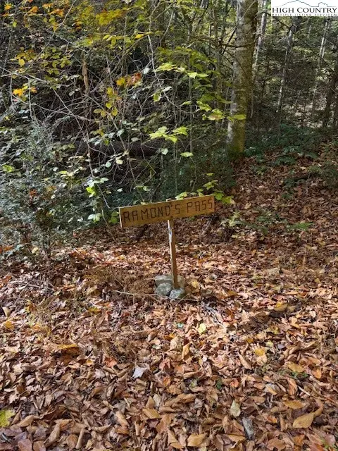 78 Holleridge Road, Ferguson, NC 28624 - Image #2