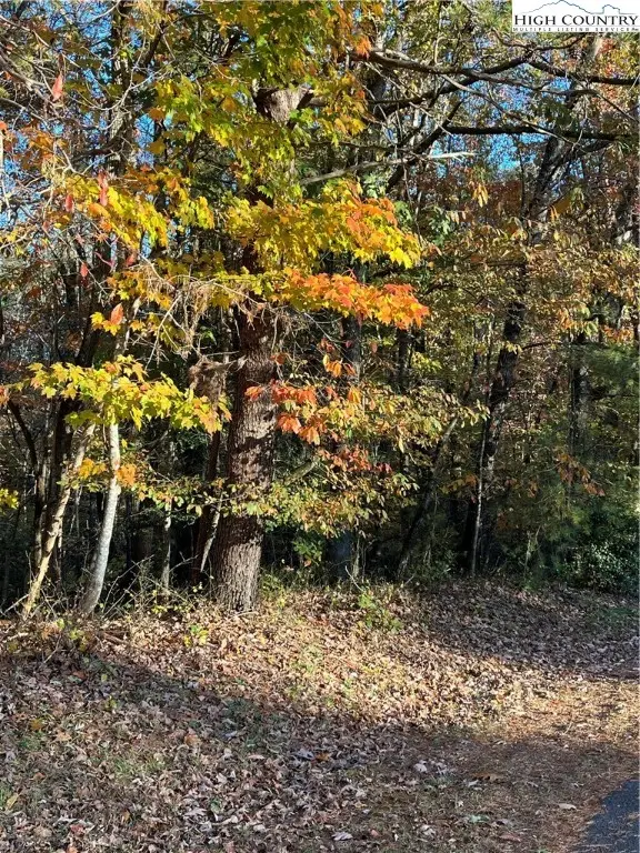 Lot 43 Short St Drive, Wilkesboro, NC 28697 - Image #3