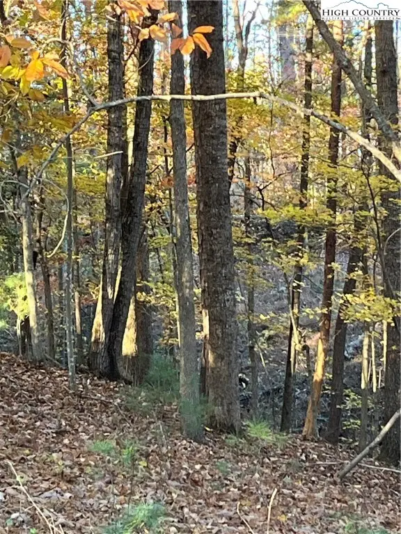 Lot 44 Short St, Wilkesboro, NC 28697 - Image #3