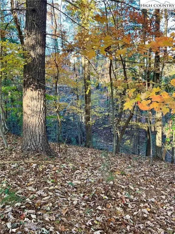 Lot 45 Short Street Drive, Wilkesboro, NC 28697 - Image #3