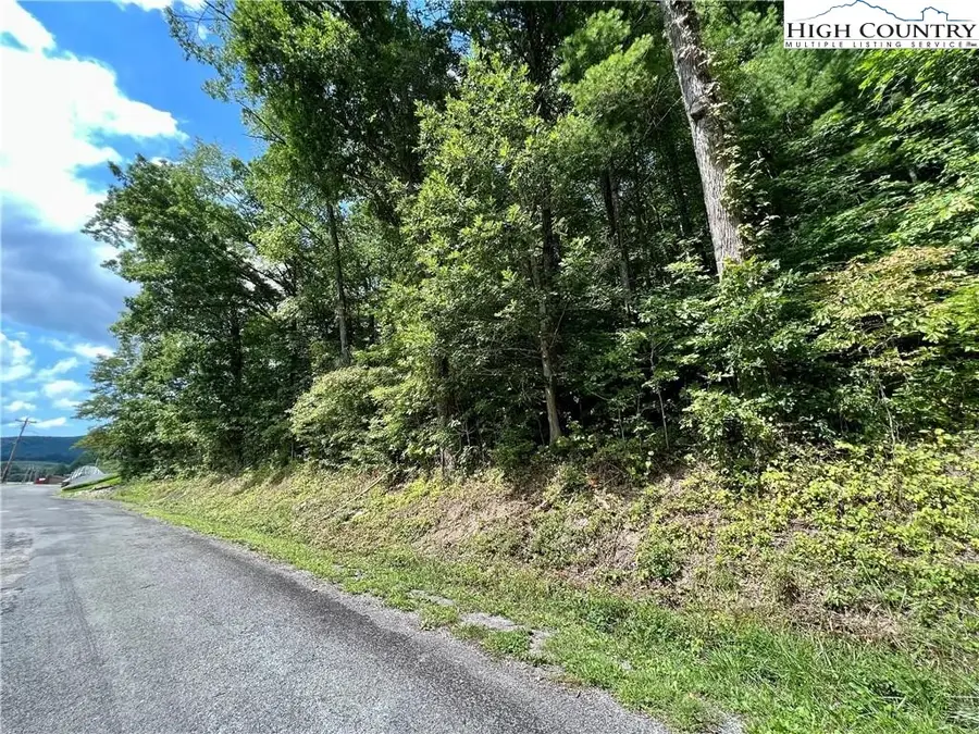 tbd Rhea Road, Mountain City, TN 37683 - #2