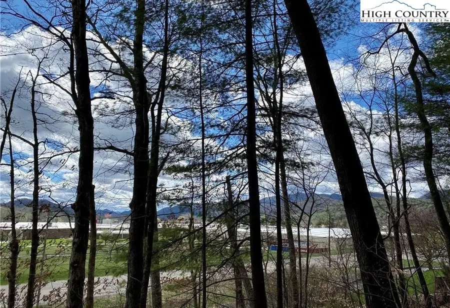 tbd Rhea Road, Mountain City, TN 37683 - #3