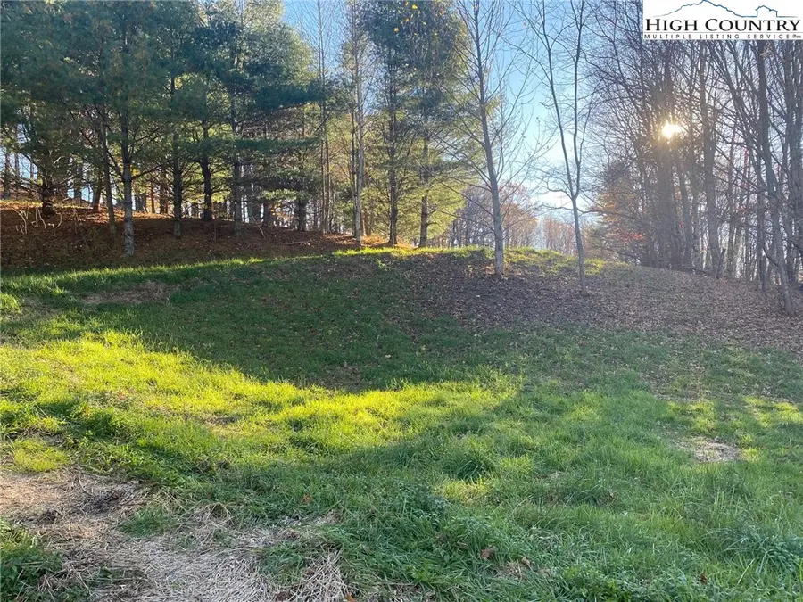 TBD Clarence Lyall Road, West Jefferson, NC 28694 - Image #2