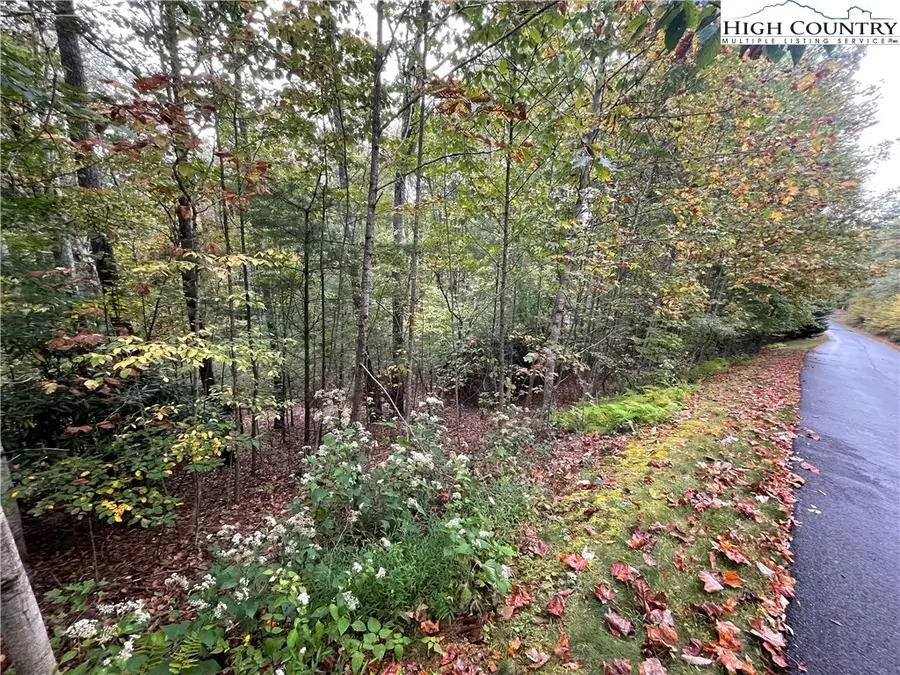 TBD Lot #33 Woodland Ridge, Walnut Hill, NC 28642 - Image #3