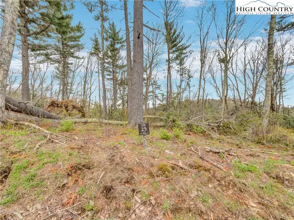 VR23 Fernwood Trail, Elk Park, NC 28604