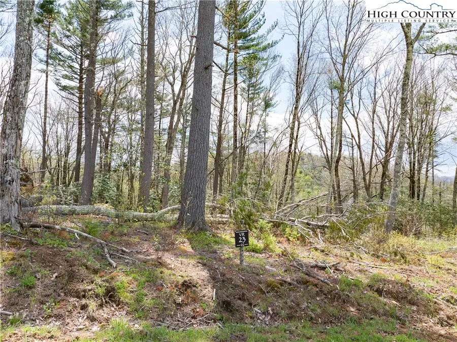 VR23 Fernwood Trail, Beech Mountain, NC 28604 - Image #2
