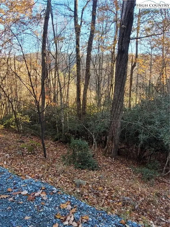 251 Poplar Drive, Beech Mountain, NC 28604
