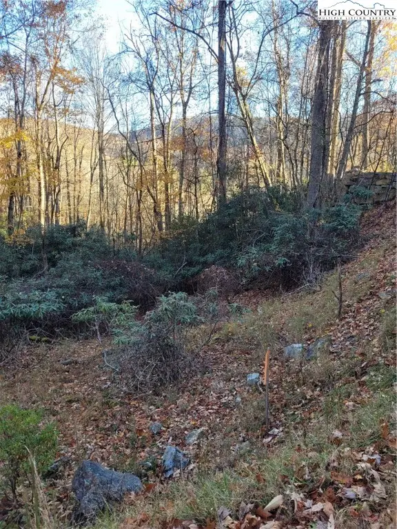 251 Poplar Drive, Beech Mountain, NC 28604 - Image #2