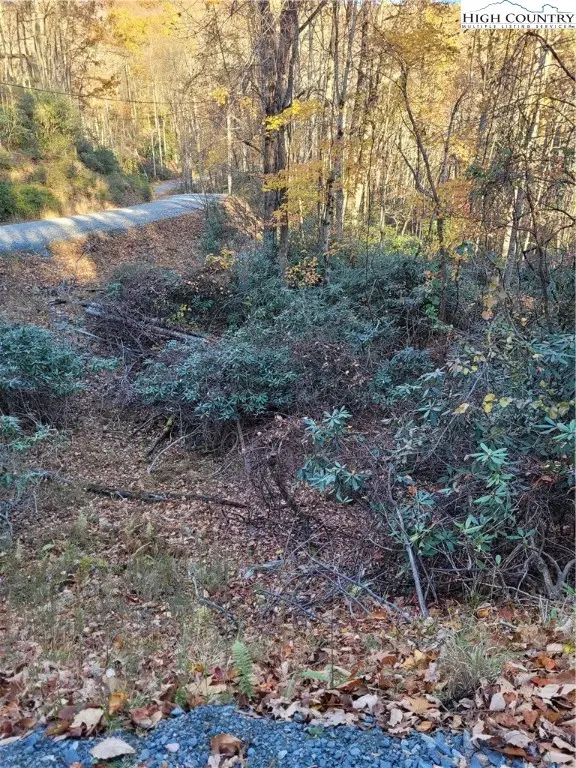 251 Poplar Drive, Beech Mountain, NC 28604 - Image #3