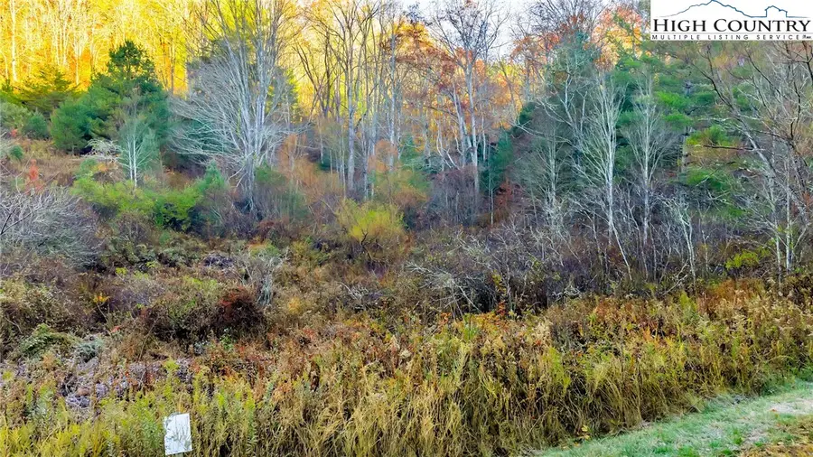 TBD - lot 23 Riverstone Drive, Laurel Springs, NC 28644 - Image #3