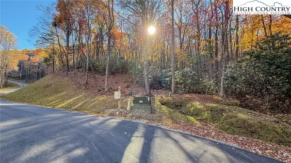 TBD lot 170 Wildcat Wilderness Parkway, Deep Gap, NC 28618