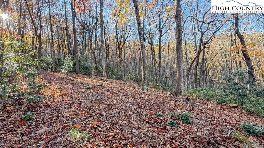 TBD lot 170 Wildcat Wilderness Parkway, Deep Gap, NC 28618 - Image #2