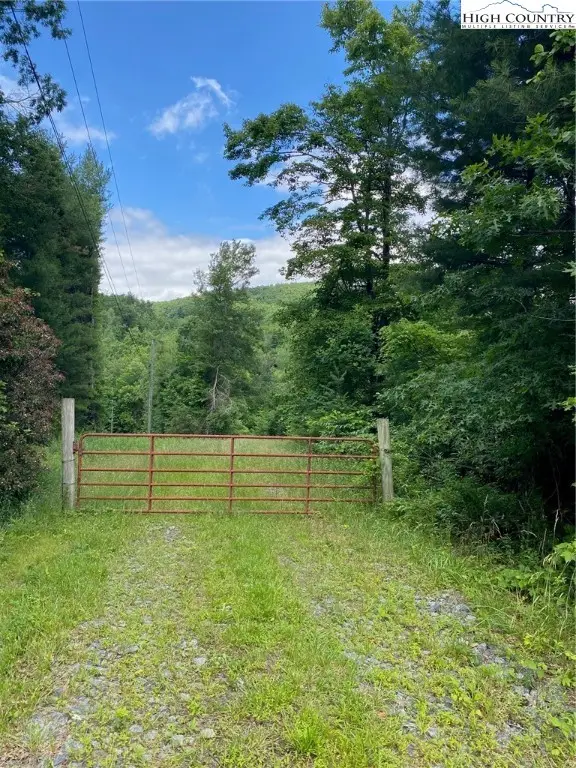 TBD Mountain View Road, Glade Valley, NC 28627