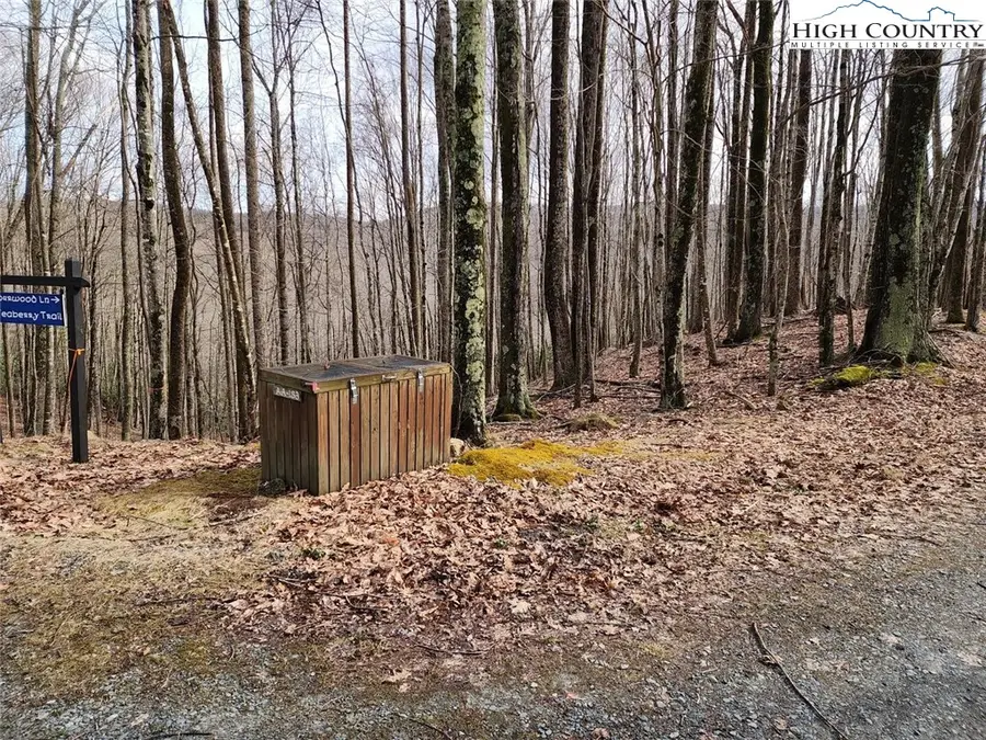 201 Sourwood Lane, Beech Mountain, NC 28604 - Image #2