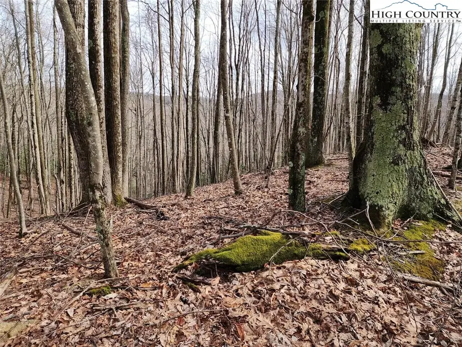 201 Sourwood Lane, Beech Mountain, NC 28604 - Image #3