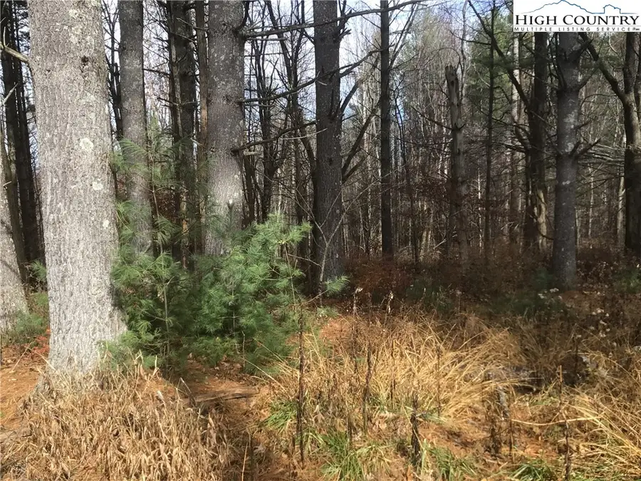 TBD Pine Springs Estates Road, Jefferson, NC 28640 - Image #3