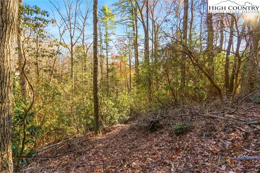 TBD Midway Road, Newland, NC 28657 - Image #3