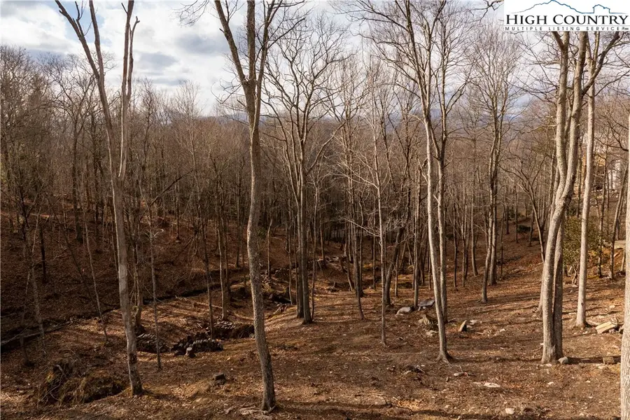 LV2 Old Laurel Lane, Elk Park, NC 28622 - Image #2