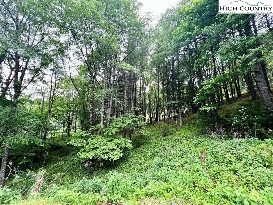 Lot 3 Riverwood Lane, Sugar Grove, NC 28679 - Image #2