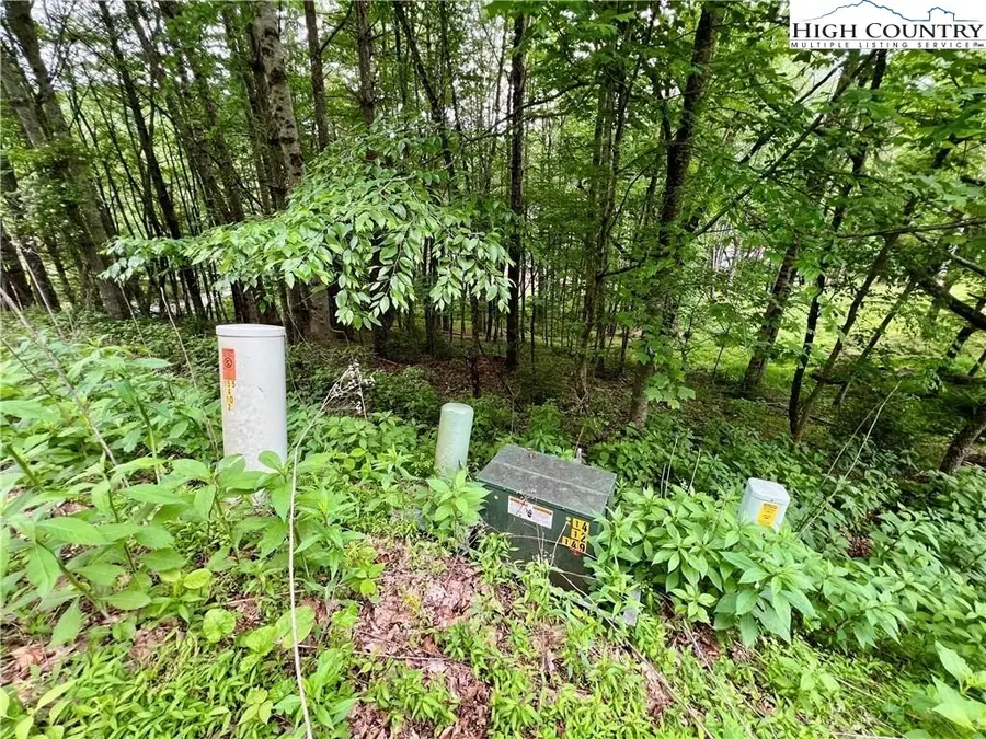 Lot 3 Riverwood Lane, Sugar Grove, NC 28679 - Image #3