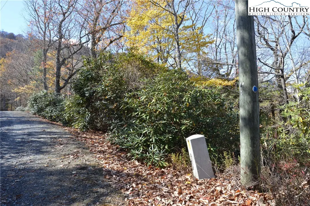 Lot #4 Roger's Green Mountain, Sparta, NC 28675 - Image #1