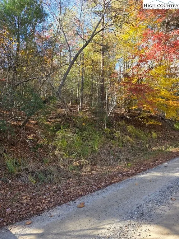 TBD Browntown Road, Millers Creek, NC 28651 - Image #2