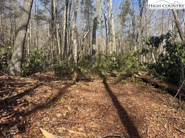 TBD Black Bear Trail, Blowing Rock, NC 28605 - Image #2