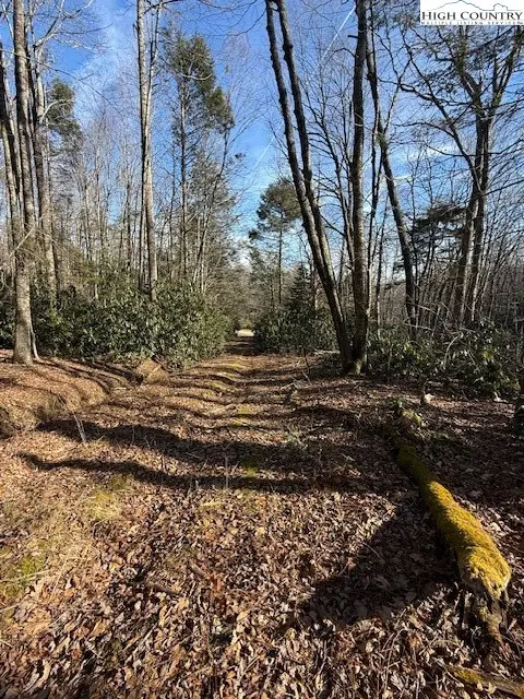 TBD Black Bear Trail, Blowing Rock, NC 28605 - Image #3