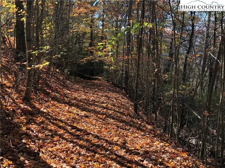 Lot 96 Buck Mountain Road, Purlear, NC 28665 - #3