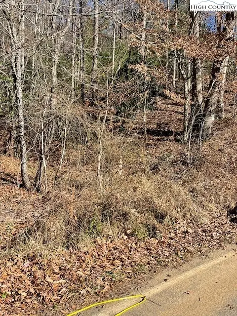 TBD Copeland Road, Warrensville, NC 28693 - Image #2