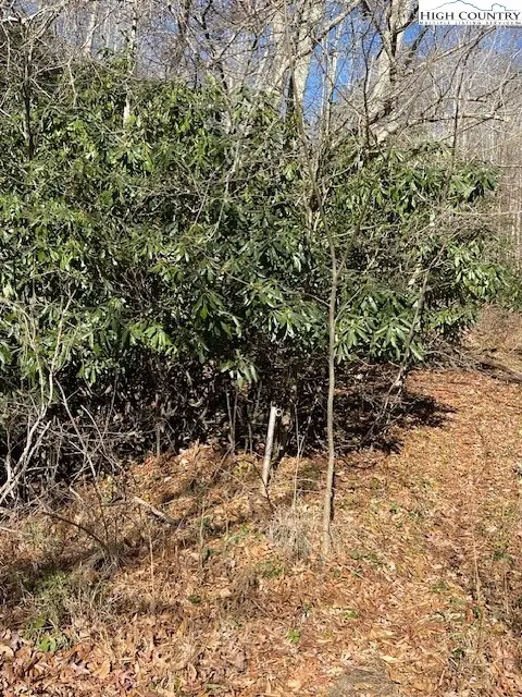 TBD Copeland Road, Warrensville, NC 28693 - Image #3